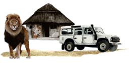 ic_africa@1x